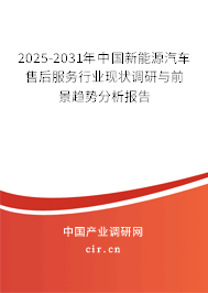 2025-2031年中國(guó)新能源汽車(chē)售后服務(wù)行業(yè)現(xiàn)狀調(diào)研與前景趨勢(shì)分析報(bào)告