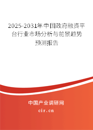 2025-2031年中國政府融資平臺行業(yè)市場分析與前景趨勢預(yù)測報(bào)告