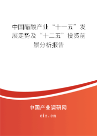 中國醋酸產業“十一五”發展走勢及“十二五”投資前景分析報告 中國醋酸產業“十一五”發展走勢及“十二五”投資前景分析報告