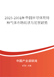 2025-2031年中國半導體用特種氣體市場現狀與前景趨勢