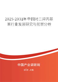 2025-2031年中國對(duì)二異丙基苯行業(yè)發(fā)展研究與前景分析