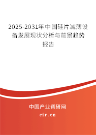 2025-2031年中國硅片減薄設備發展現狀分析與前景趨勢報告
