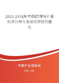2024-2030年中國拉伸板行業現狀分析與發展前景研究報告