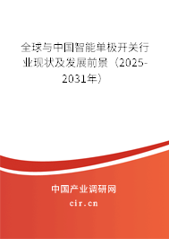 全球與中國(guó)智能單極開關(guān)行業(yè)現(xiàn)狀及發(fā)展前景（2025-2031年）
