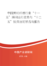 中國芳綸纖維行業(yè)“十一五”期間運(yùn)行走勢與“十二五”投資遠(yuǎn)前景咨詢報(bào)告