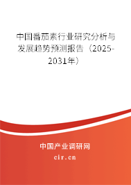 中國番茄素行業研究分析與發展趨勢預測報告（2025-2031年）