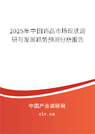 2025年中國飾品市場現狀調研與發展趨勢預測分析報告