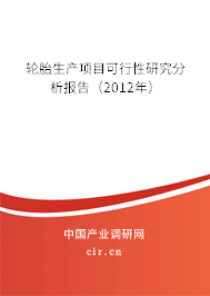輪胎生產項目可行性研究分析報告（2012年）