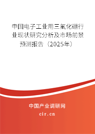 中國電子工業(yè)用三氟化硼行業(yè)現(xiàn)狀研究分析及市場(chǎng)前景預(yù)測(cè)報(bào)告（2025年）
