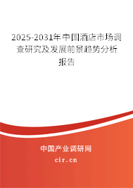 2025-2031年中國酒店市場調查研究及發展前景趨勢分析報告