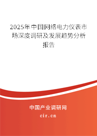 2025年中國網絡電力儀表市場深度調研及發展趨勢分析報告