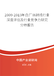 2009-2013年白廠絲制線行業深度評估及行業競爭力研究分析報告