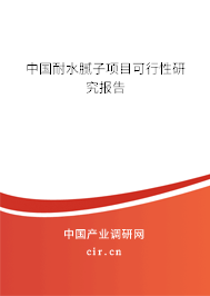 中國耐水膩子項目可行性研究報告
