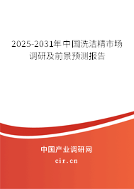 2025-2031年中國洗潔精市場調研及前景預測報告