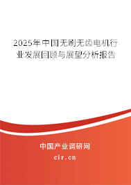2025年中國無刷無齒電機行業發展回顧與展望分析報告