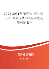 2025-2031年激光頭（PUH）行業(yè)發(fā)展現(xiàn)狀調研與市場前景預測報告