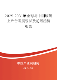 2025-2031年全球與中國玻璃上片臺發展現狀及前景趨勢報告 2025-2031年全球與中國玻璃上片臺發展現狀及前景趨勢報告