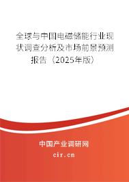 全球與中國電磁儲能行業現狀調查分析及市場前景預測報告（2024年版）