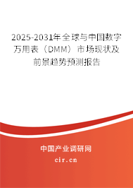 2025-2031年全球與中國數(shù)字萬用表（DMM）市場現(xiàn)狀及前景趨勢預(yù)測報(bào)告