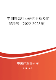 中國舞菇行業(yè)研究分析及前景趨勢(2022-2028年) 中國舞菇行業(yè)研究分析及前景趨勢(2022-2028年)