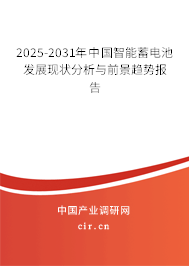 2025-2031年中國智能蓄電池發展現狀分析與前景趨勢報告
