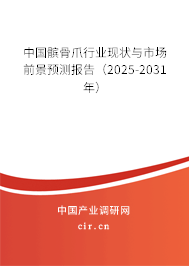 中國髕骨爪行業(yè)現(xiàn)狀與市場前景預(yù)測報告（2025-2031年）