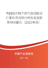 中國城市地下燃氣管線探測行業現狀調研分析及發展趨勢預測報告（2025年版）