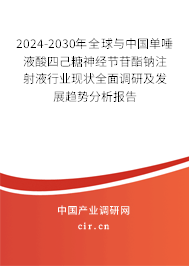2024-2030年全球與中國單唾液酸四己糖神經(jīng)節(jié)苷酯鈉注射液行業(yè)現(xiàn)狀全面調(diào)研及發(fā)展趨勢(shì)分析報(bào)告