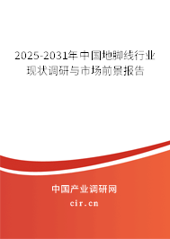 2025-2031年中國地腳線行業現狀調研與市場前景報告