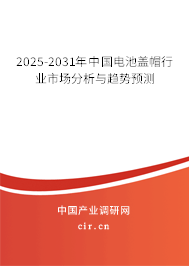 2025-2031年中國電池蓋帽行業市場分析與趨勢預測