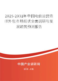 2025-2031年中國電信運營商IT外包市場現狀全面調研與發展趨勢預測報告