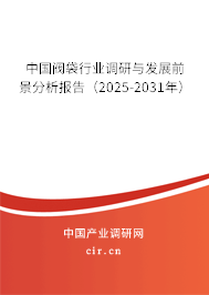 中國閥袋行業調研與發展前景分析報告（2025-2031年）