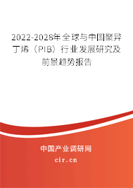 2022-2028年全球與中國聚異丁烯(PIB)行業(yè)發(fā)展研究及前景趨勢報告 2022-2028年全球與中國聚異丁烯(PIB)行業(yè)發(fā)展研究及前景趨勢報告