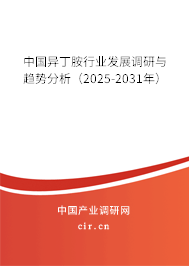 中國異丁胺行業發展調研與趨勢分析（2025-2031年）