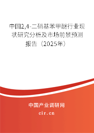 中國2,4-二硝基苯甲醚行業現狀研究分析及市場前景預測報告（2025年）