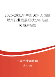 2025-2031年中國BDP無鹵阻燃劑行業發展現狀分析與趨勢預測報告