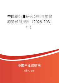 中國鋼行業(yè)研究分析與前景趨勢預(yù)測報告（2025-2031年）