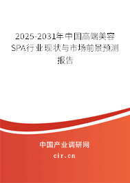 2024-2030年中國高端美容SPA行業現狀與市場前景預測報告