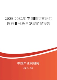 2025-2031年中國國際貨運代理行業分析與發展前景報告