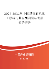 中國基礎有機化工原料行業調查分析及發展趨勢預測報告（2025-2031年）