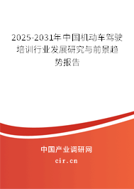 2025-2031年中國機動車駕駛培訓行業(yè)發(fā)展研究與前景趨勢報告