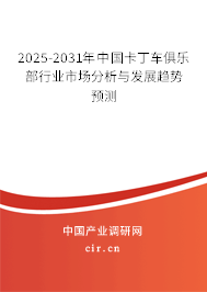 2025-2031年中國卡丁車俱樂部行業(yè)市場分析與發(fā)展趨勢預(yù)測
