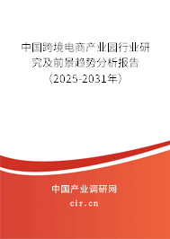 中國跨境電商產業園行業研究及前景趨勢分析報告（2025-2031年）