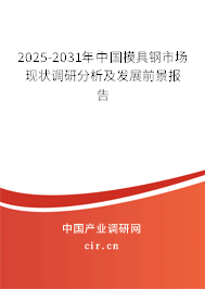 2025-2031年中國模具鋼市場現(xiàn)狀調(diào)研分析及發(fā)展前景報告