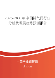 2025-2031年中國排氣閥行業(yè)分析及發(fā)展趨勢預(yù)測報告