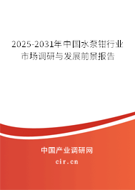 2025-2031年中國水泵鉗行業市場調研與發展前景報告