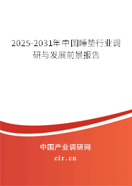 2025-2031年中國睡墊行業調研與發展前景報告