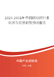 2025-2031年中國制動蹄行業(yè)現(xiàn)狀與前景趨勢預(yù)測報告