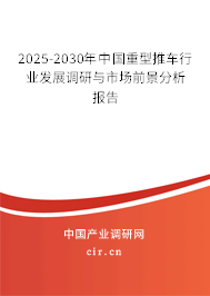 2025-2030年中國重型推車行業(yè)發(fā)展調研與市場前景分析報告