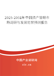 2025-2031年中國資產管理市場調研與發展前景預測報告 2025-2031年中國資產管理市場調研與發展前景預測報告